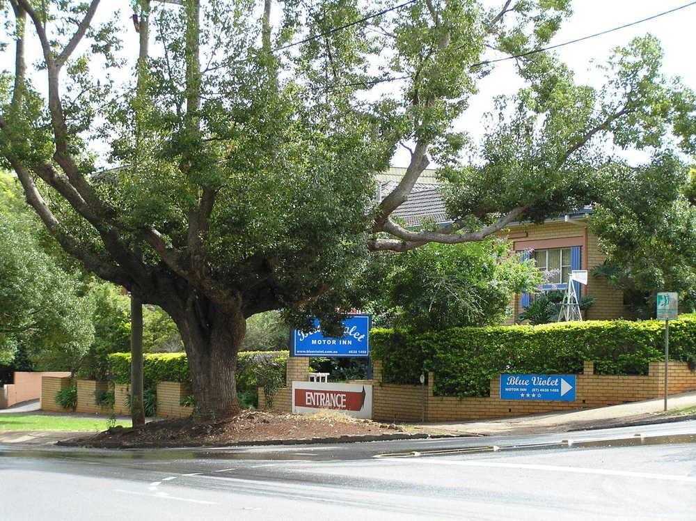 Blue Violet Motor Inn Toowoomba Exteriör bild