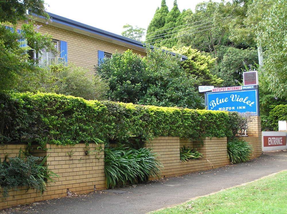 Blue Violet Motor Inn Toowoomba Exteriör bild